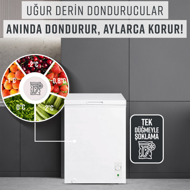 uğur ued 100 ds