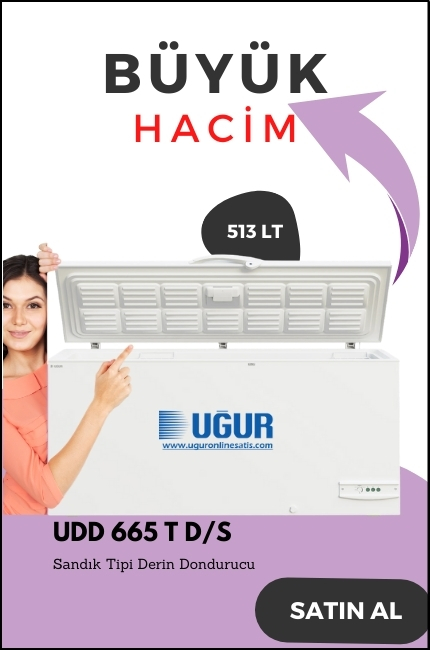 udd 665 t d/s